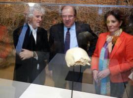 El Museo de la Evolución Humana exhibe por primera vez el Cráneo 4 de Atapuerca