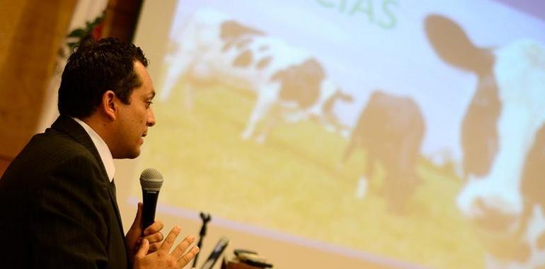 Científicos proponen dar de comer a las vacas lecheras residuos de papel