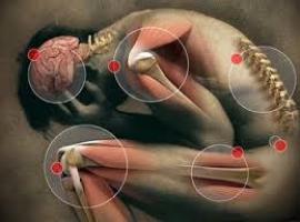 El Parlamento asturiano muestra su apoyo a los afectados en el Día de la Fibromialgia