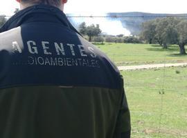 Ocho condenas por incendio forestal en Asturias en lo que va de año