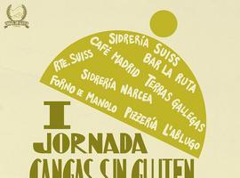 Cangas del Narcea, el pueblo con más celiacos de España