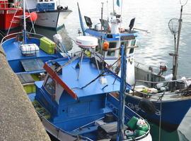 El primer bonito bate un nuevo récord y se vende en Asturias a 200 euros el kilo