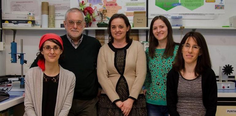 Investigadores de #Uniovi mejoran y abaratan la detección del gluten