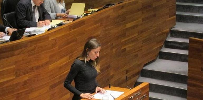 El Parlamento asturiano rechaza reformar la ley sobre igualdad