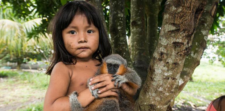 Greenpeace luchará en la Amazonia por la supervivencia de la tribu Mundurukú