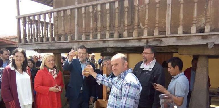 Rajoy brinda en Gozón con leche y sidra asturiana