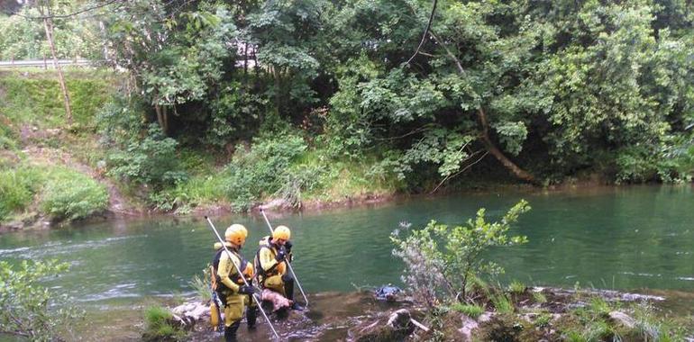 Localizado el cadáver del pescador desaparecido ayer en un coto de Cangas de Onís