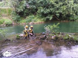 Localizado el cadáver del pescador desaparecido ayer en un coto de Cangas de Onís