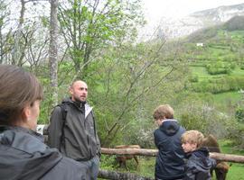 Naturaleza y Prehistoria en un itinerario con el Parque y la Fundación Oso de Asturias