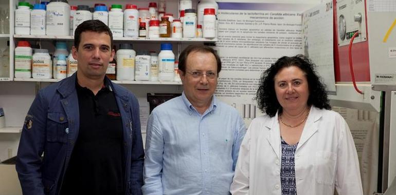 Investigadores de #UniOvi revelan la acción de una proteína que elimina bacterias y hongos