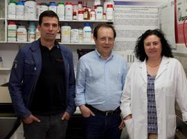 Investigadores de #UniOvi revelan la acción de una proteína que elimina bacterias y hongos