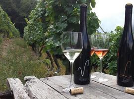 Asturiano:Vitheras Blanco es medalla de plata en el Wine & Spirit Competition