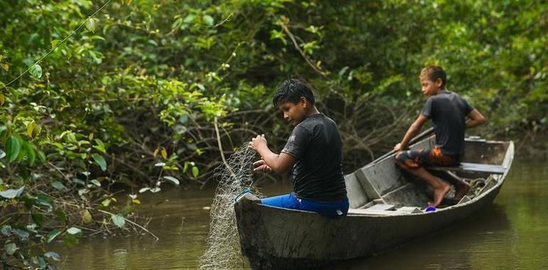 Greenpeace: Graves riesgos para la Amazonia inundada por megapresas