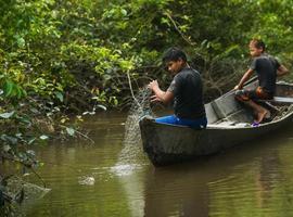 Greenpeace: Graves riesgos para la Amazonia inundada por megapresas