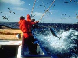 El pescado subastado en la rula de Gijón sube el 56%