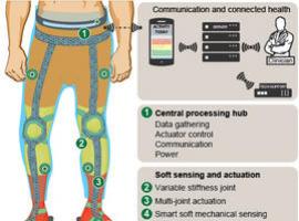 Un exoesqueleto ligero y flexible ayudará a personas con movilidad reducida 