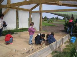 Reptiles y dinosaurios en el nuevo taller del MUJA