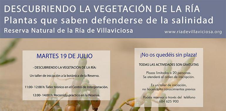 Taller de iniciación a la botánica en el Centro de Interpretación de Villaviciosa