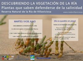 Taller de iniciación a la botánica en el Centro de Interpretación de Villaviciosa