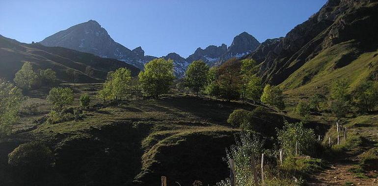 #UniOvi encabeza un proyecto europeo que quiere recuperar los prados de alta montaña