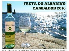 Concurso fotográfico Condes de Albarei fiesta del albariño en redes sociales