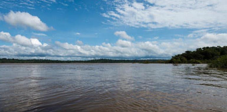 Paralizado proyecto de megapresa que destruía el corazón del Amazonas