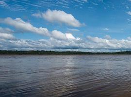 Paralizado proyecto de megapresa que destruía el corazón del Amazonas