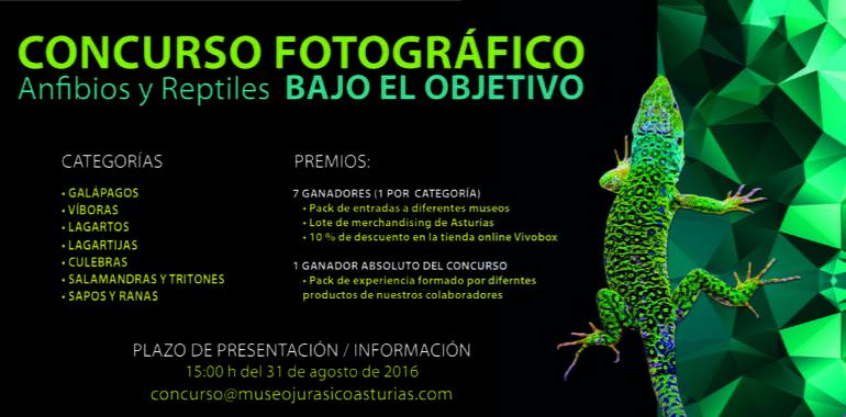 El MUJA convoca un concurso fotográfico sobre reptiles y anfibios