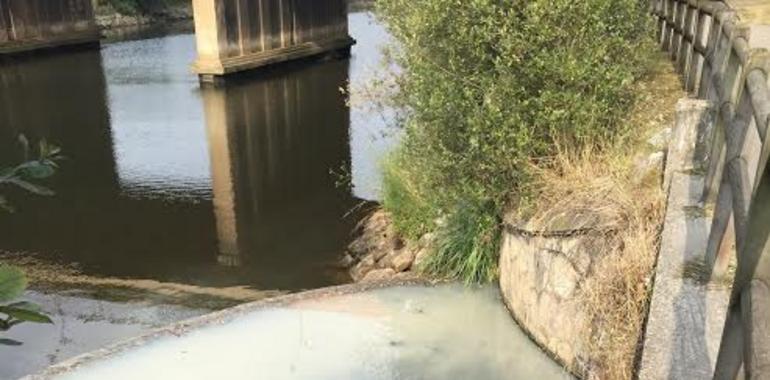 Denuncian un nuevo vertido en la Ría de Avilés