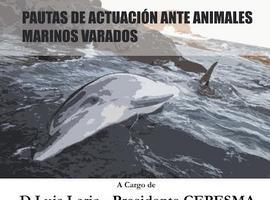 Luis Laria en Llanes: Cómo actuar ante animales marinos varados