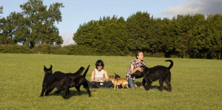 Ciudadanos reclama un área para perros en el parque gijonés de Severo Ochoa 