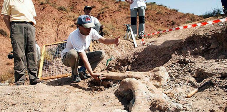 Jornadas Internacionales sobre paleontología de dinosaurios y su entorno