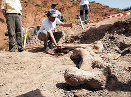 Jornadas Internacionales sobre paleontología de dinosaurios y su entorno