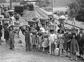 El Museo Etnográfico de Grado busca fotos antiguas de niños trabajando