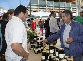 La Feria de la Miel en Liébana estrena la Denominación de Origen Protegida