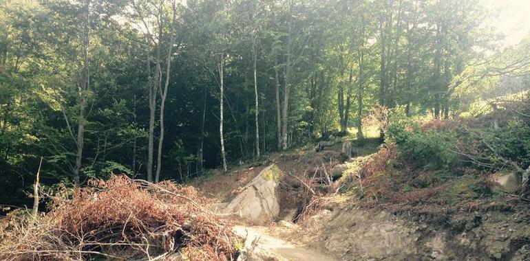 Ecologistas de Asturias denuncia la creación de una pista al puerto de Piedrafita