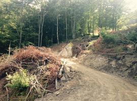 Ecologistas de Asturias denuncia la creación de una pista al puerto de Piedrafita