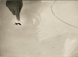 Las fotografías de Masao Yamamoto, en el Centro Niemeyer