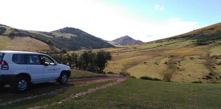 Excavan dos posibles campamentos romanos de la guerra Asturcántabra