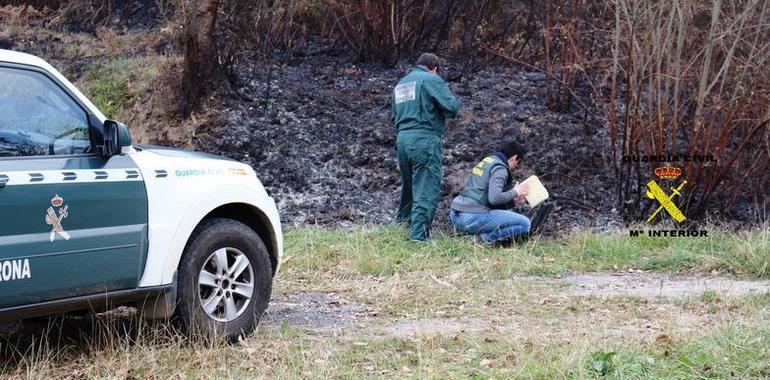 Seis personas detenidas por los incendios forestales en Asturias