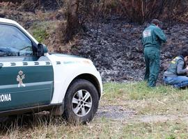 Seis personas detenidas por los incendios forestales en Asturias