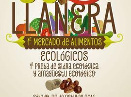 Los productores ecológicos asturianos debaten hoy sobre el futuro del sector en Llanera