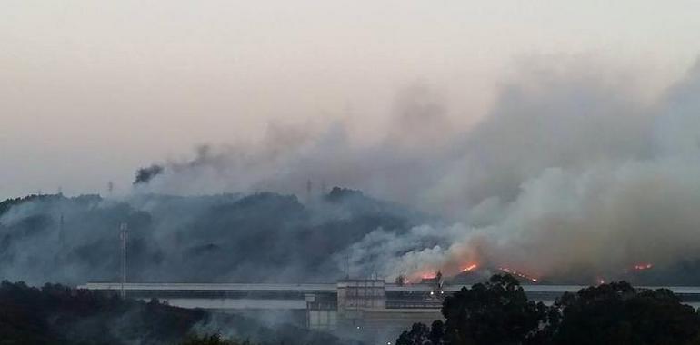 Asturias debería acotar al pastoreo las zonas incendiadas, según los expertos