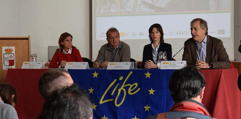 El Ministerio de Agricultura trabajará "con intensidad" por la conservación del urogallo cantábrico