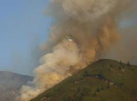 Coordinadora Ecologista d´Asturies entrega hoy su Bullada Purpurina a los grupos parlamentarios