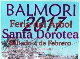 Balmori (Llanes) celebra su Feria del Árbol de Santa Dorotea