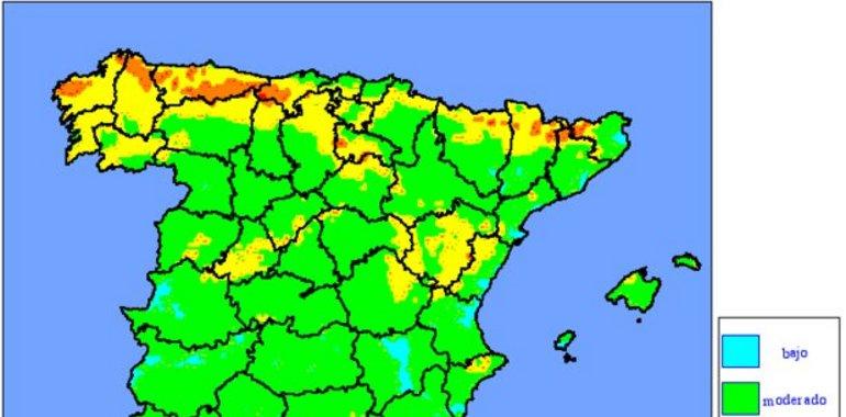 BRIPAS niegan trabas a la investigación de incendios forestales