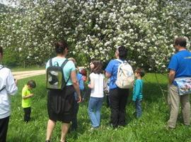 Ruta para conocer los orígenes de las plantas en el Parque de la Prehistoria de Teverga