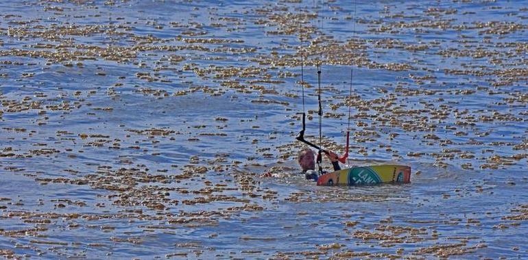 Los análisis de las muestras de la playa de El Espartal descartan la presencia de hidrocarburos