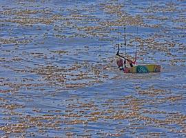 Los análisis de las muestras de la playa de El Espartal descartan la presencia de hidrocarburos